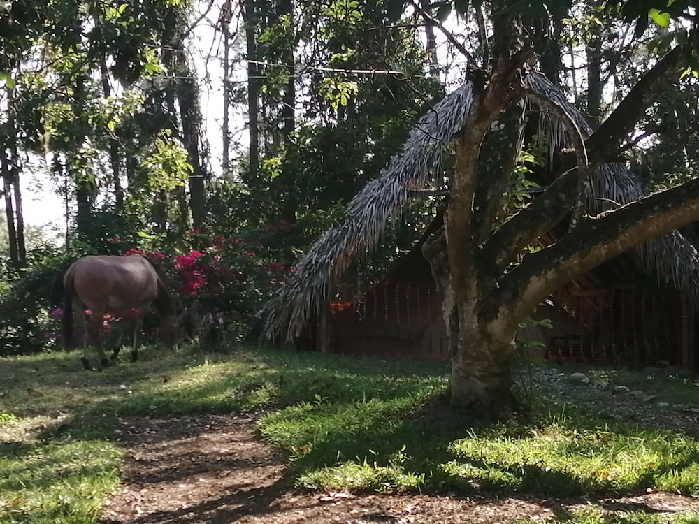 Villas del Lago Lake Resort & Campground