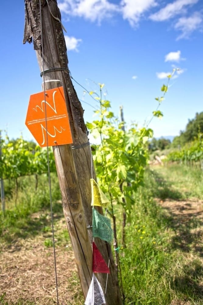 Valdonica Winery & Vineyard Residence