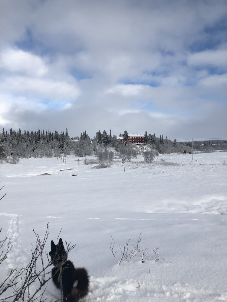 Storliens Fjällgård  - Hostel