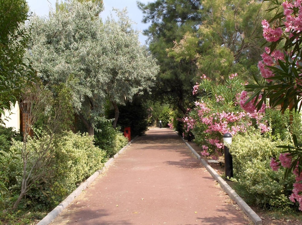 Photo 32