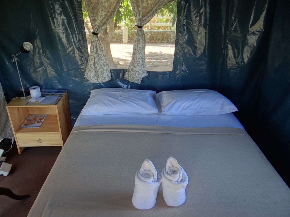 The Camping Field