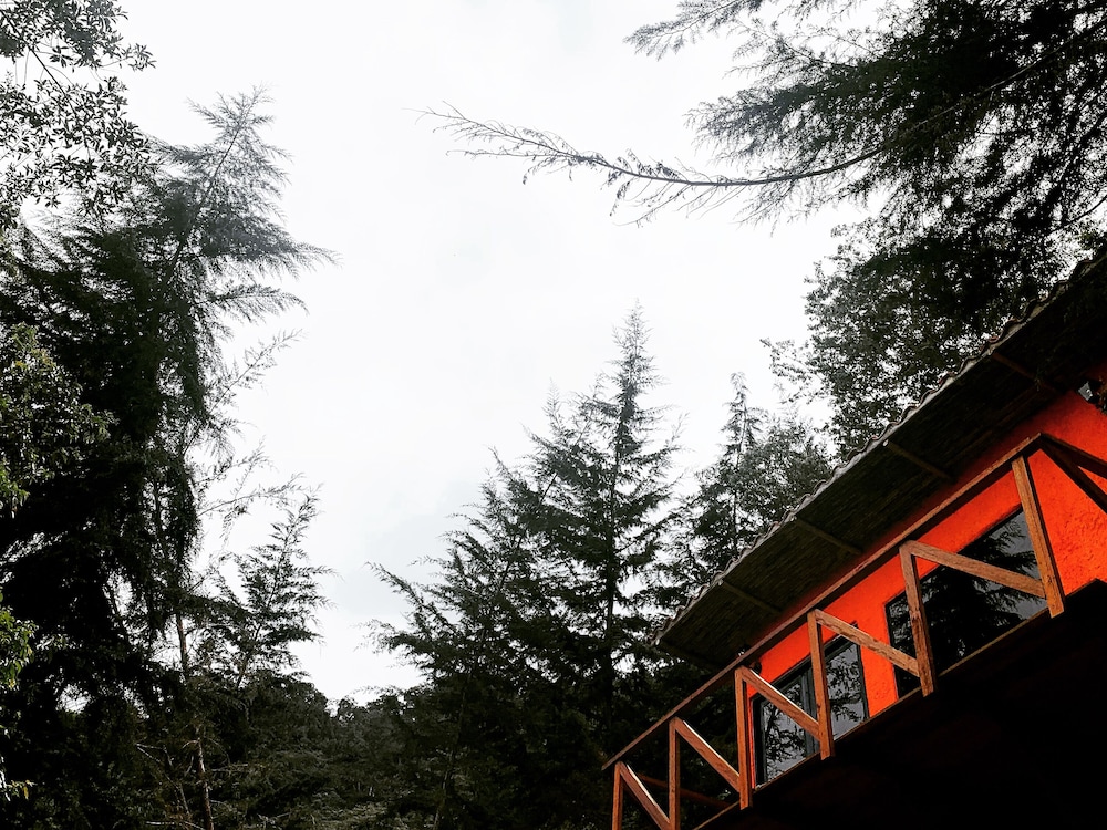 Mama Anza's House in a Magical Mountain!