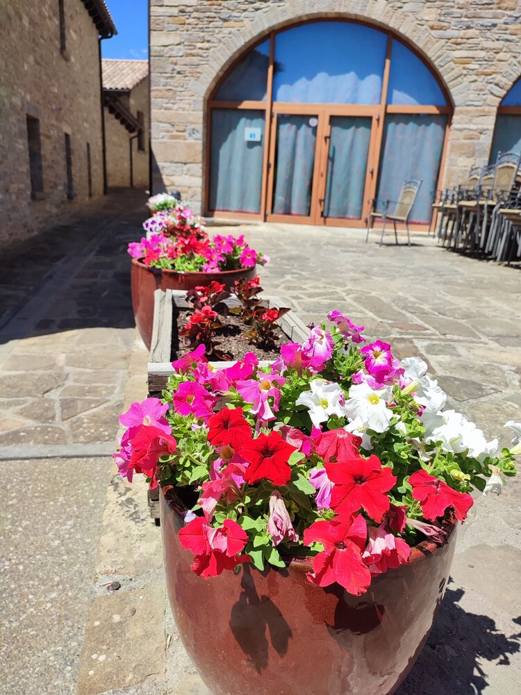 Casas Pirineo Aínsa: Historic Palace & Garden