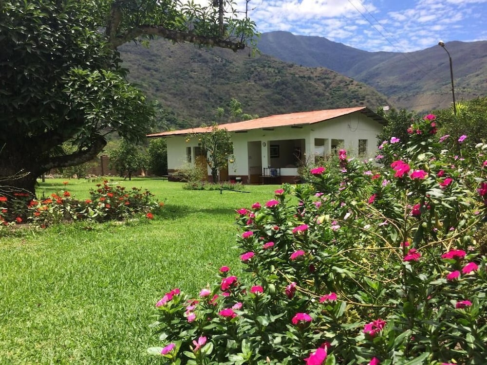 El Mangal