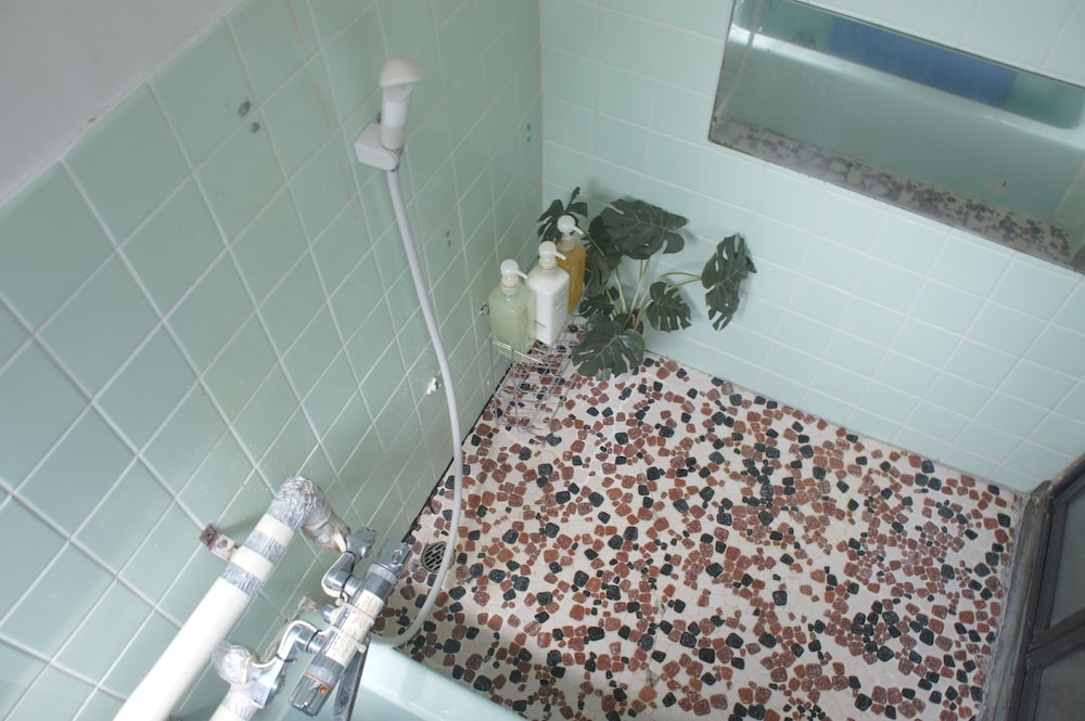 Photo 12