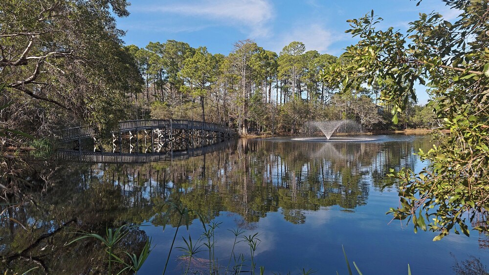 3BR Home in Seagrove Beach + Free Tickets: Bikes, Dolphin Cruise & More!