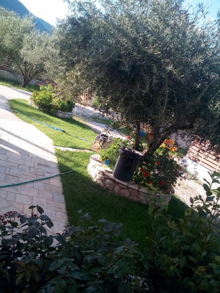 Photo 42