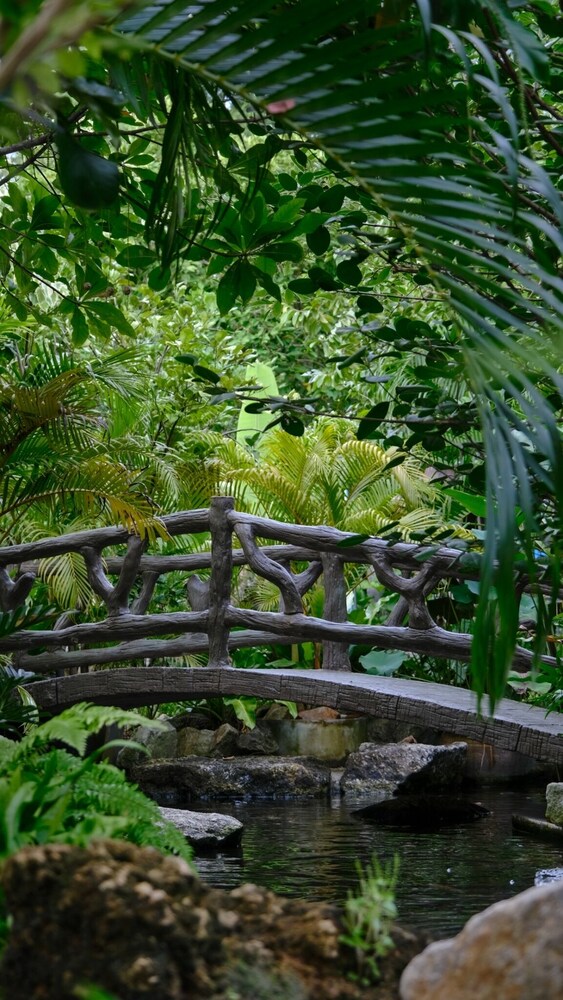 Lush Inn Phuket