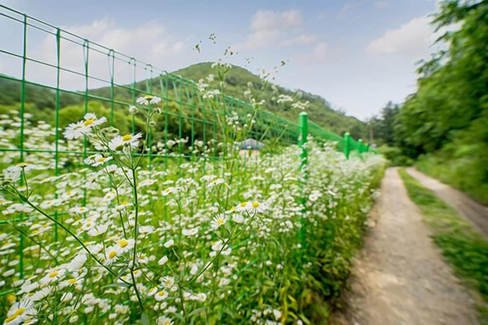 Yongin Sun & Moon Peension