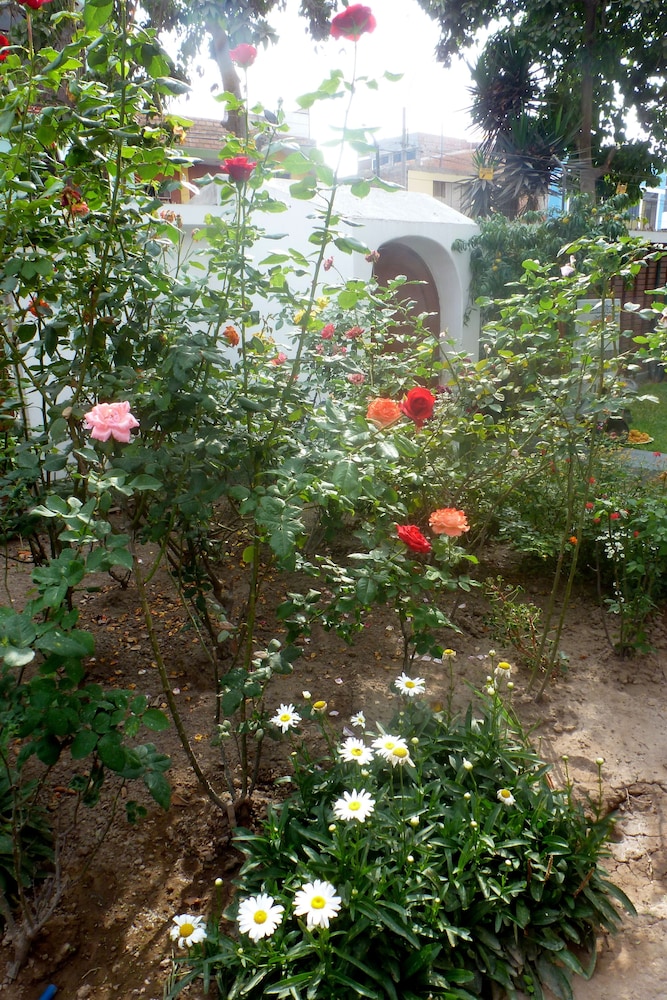 Photo 40