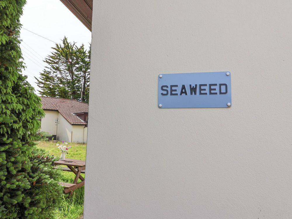 Seaweed