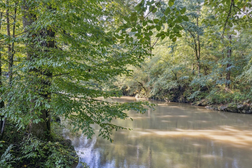 River View Dog Friendly Game Room w Hot Tub