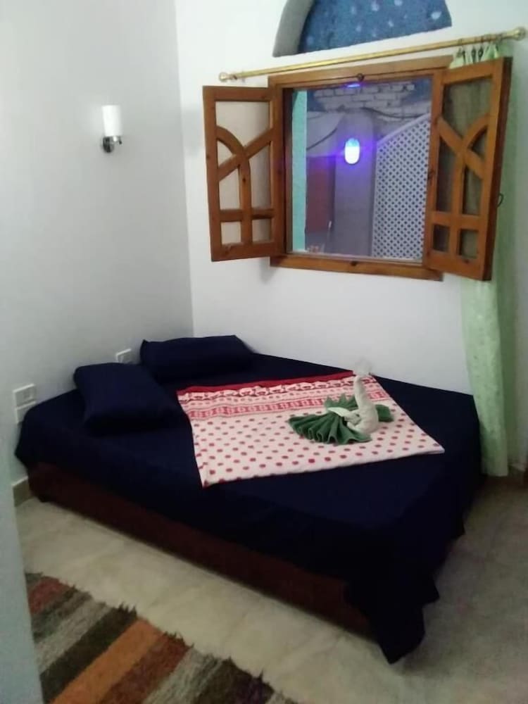 Photo 37