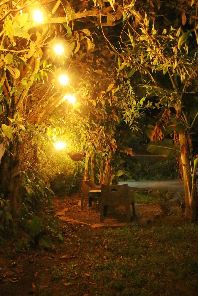 Casa Jungle Monteverde Bed & Breakfast
