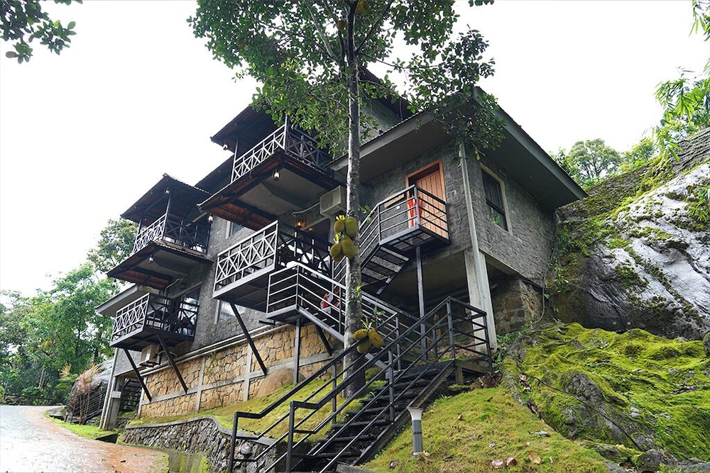 The Wild Trails Clarks Exotica Munnar