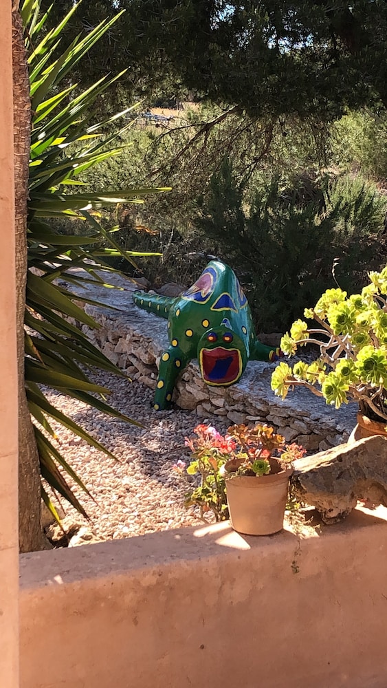 Photo 16