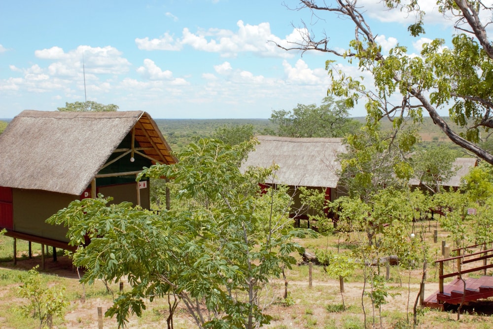 Lion Roars Lodge