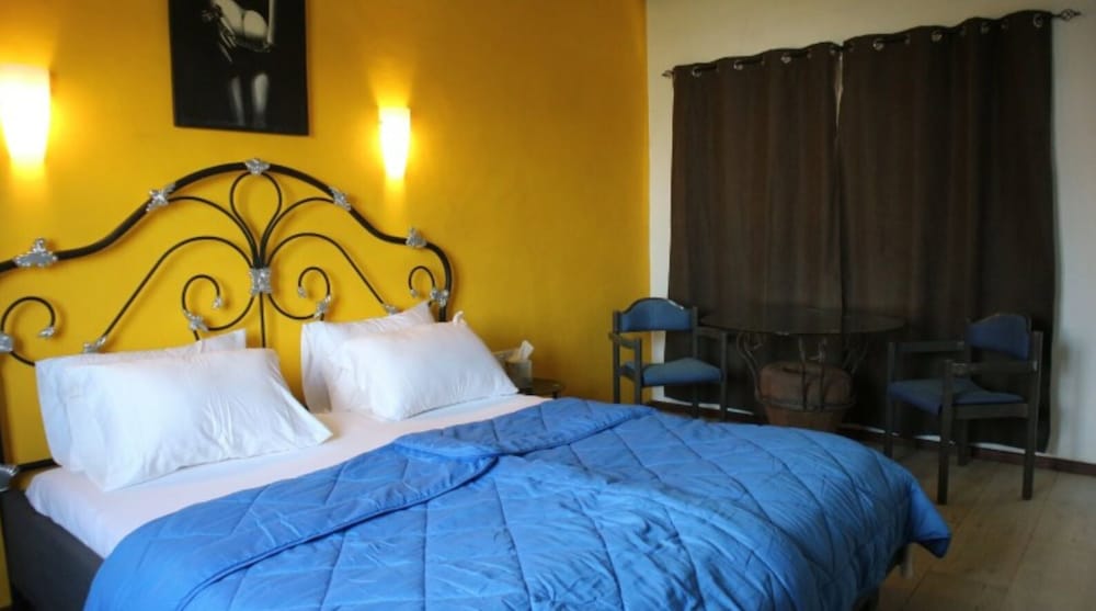 Tom's Garden view 3