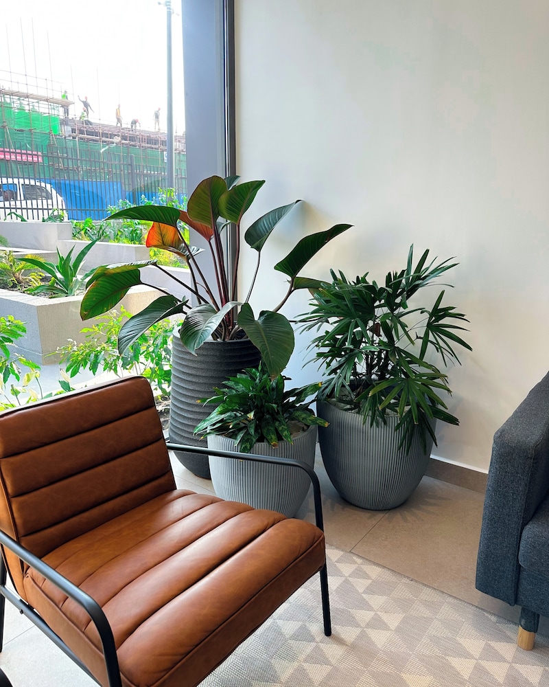 Loxwood Apartment
