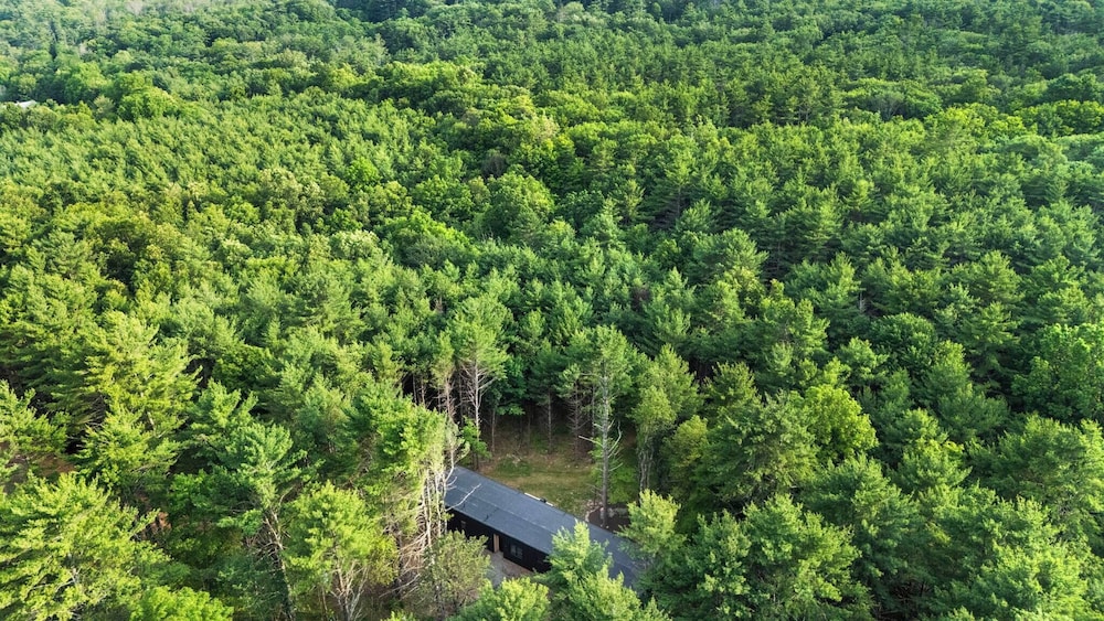100ft of Forest Light - Modern Catskills Escape