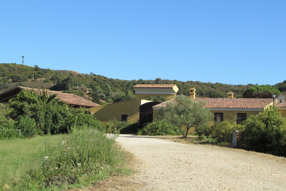Cavalli di S'Arcaite