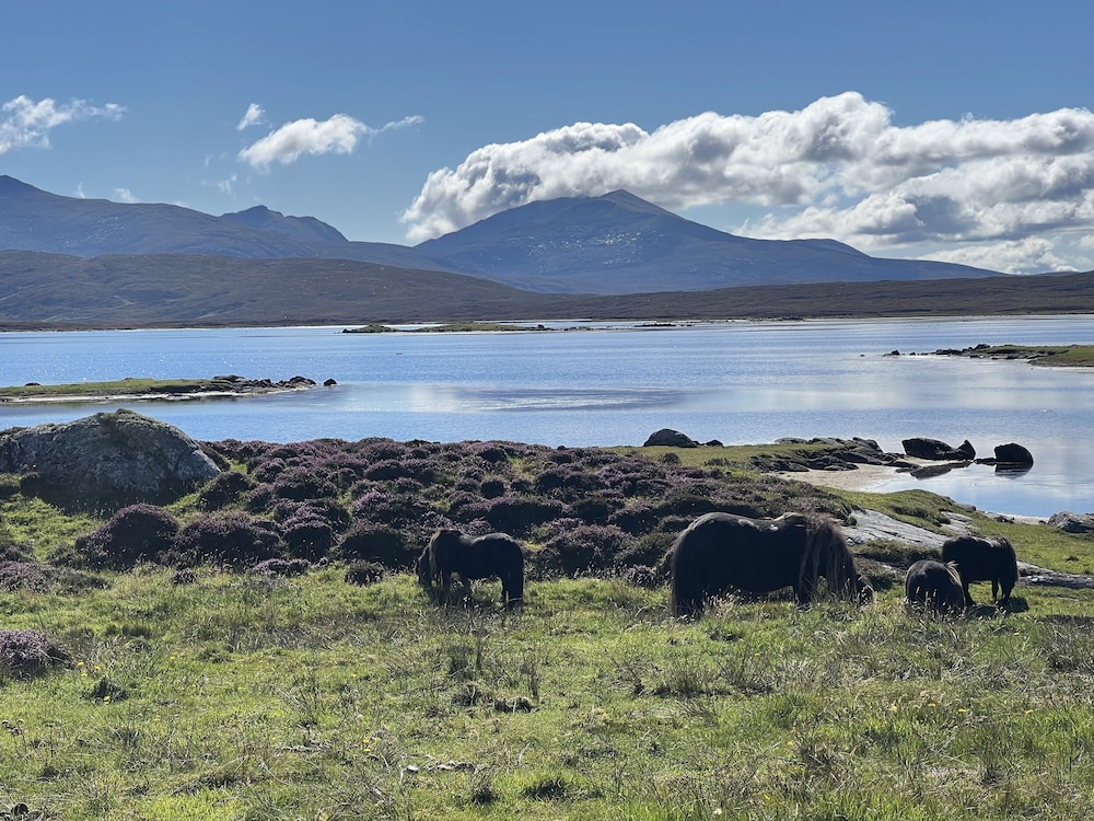 Dun Buidhe