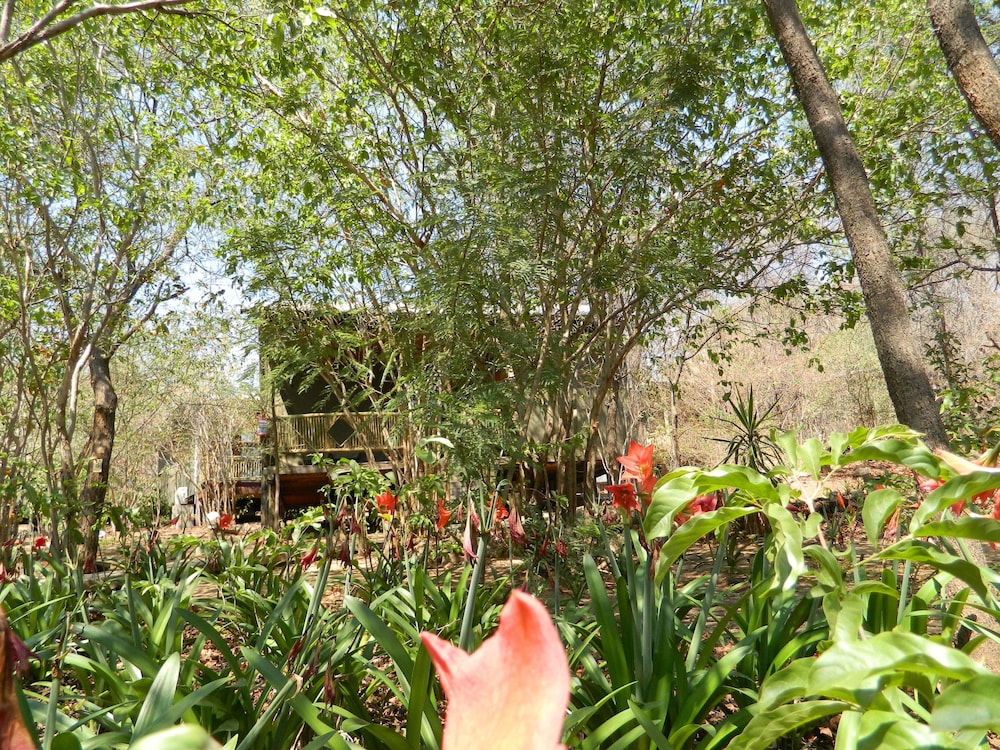 Kwalape Safari Lodge