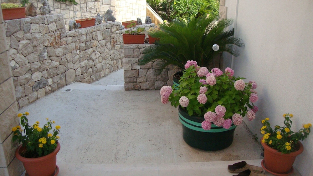 Photo 15