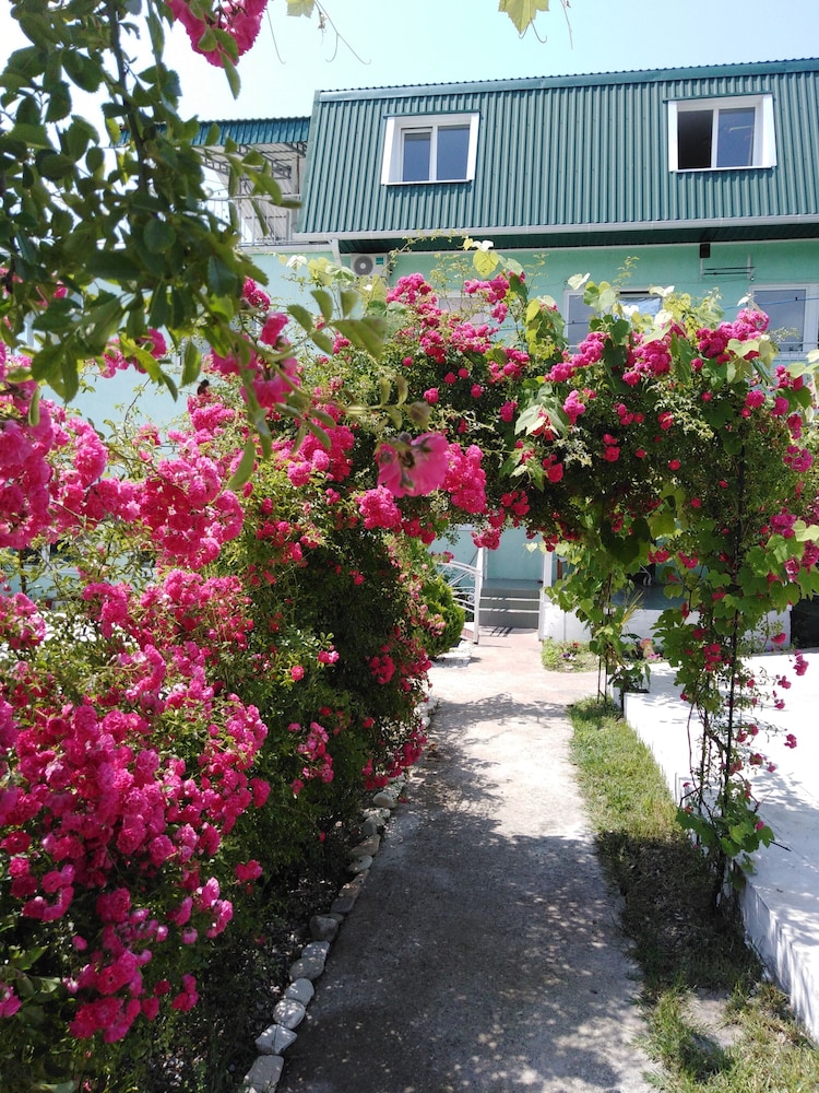 Photo 20
