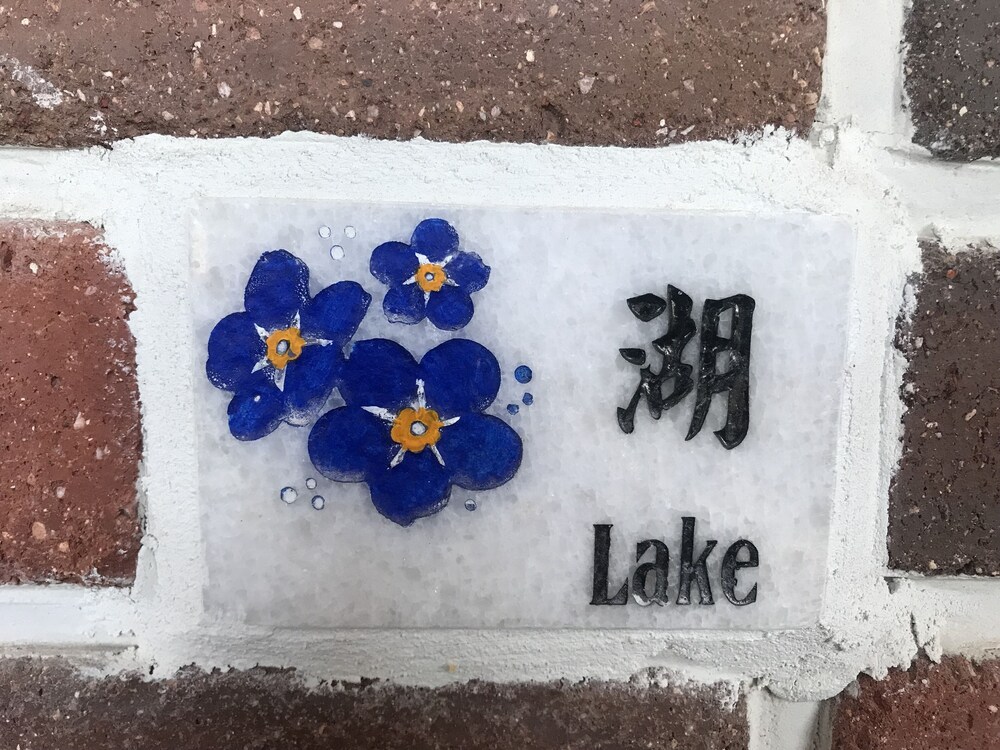 Photo 37