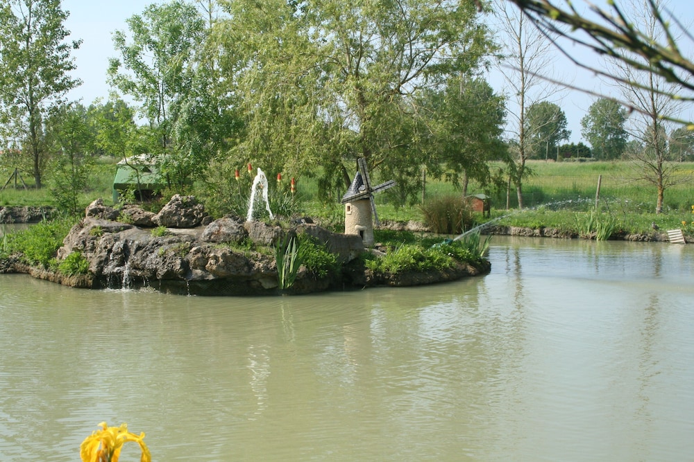 Photo 50