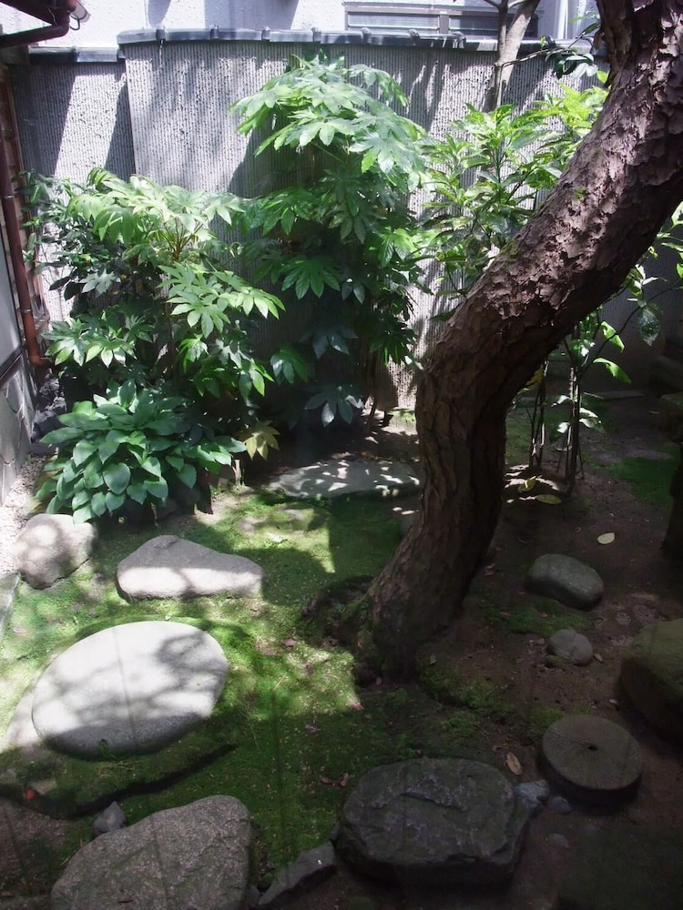 Photo 42