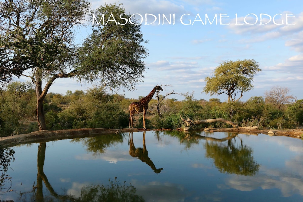 Masodini Private Game Lodge