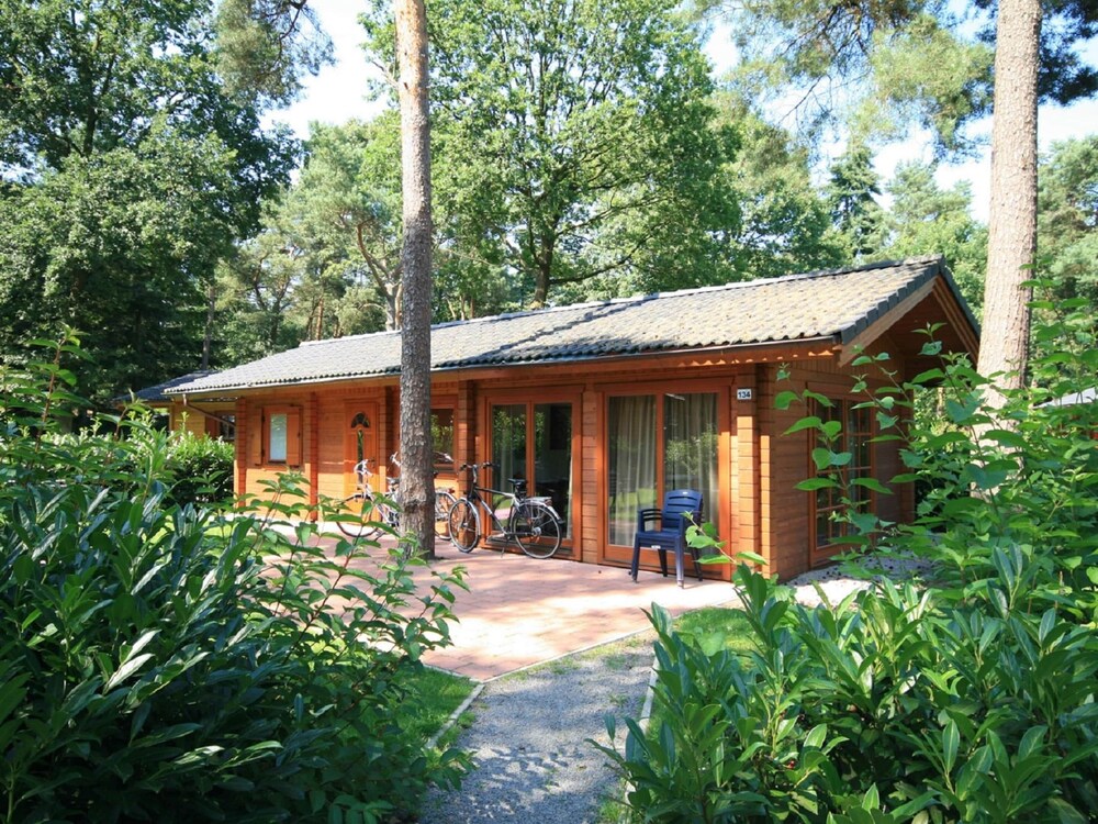 Wooden Chalet Located in the Achterhoek
