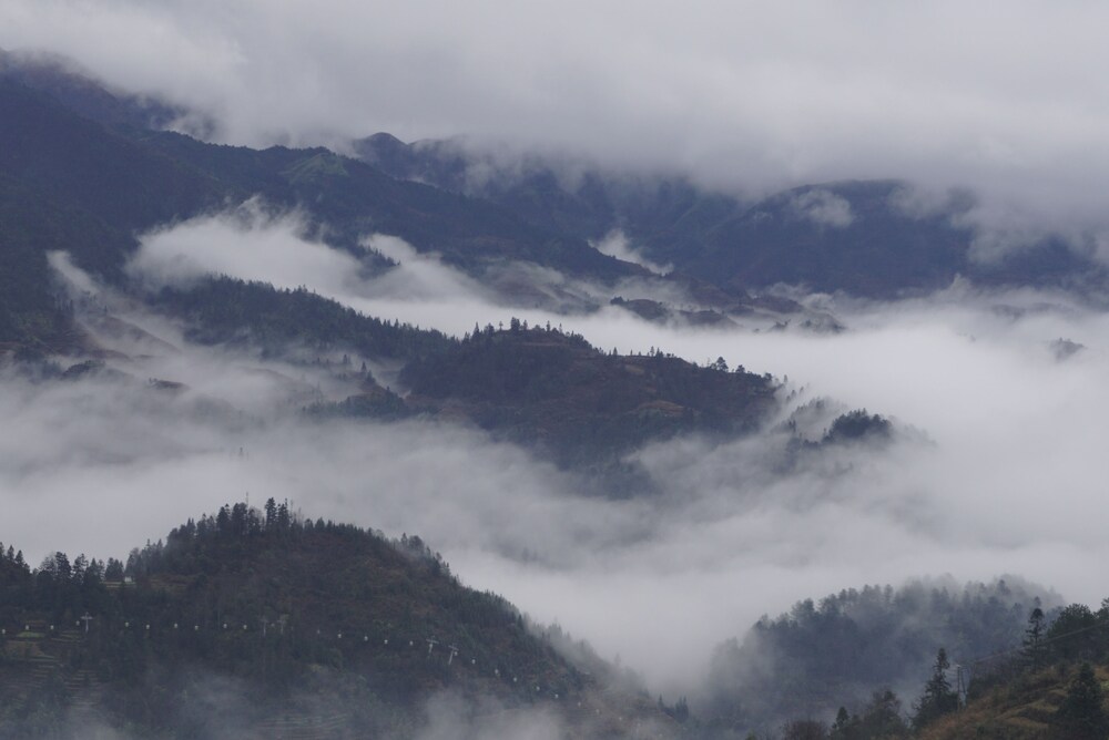Longji Rice Terraces Hostel