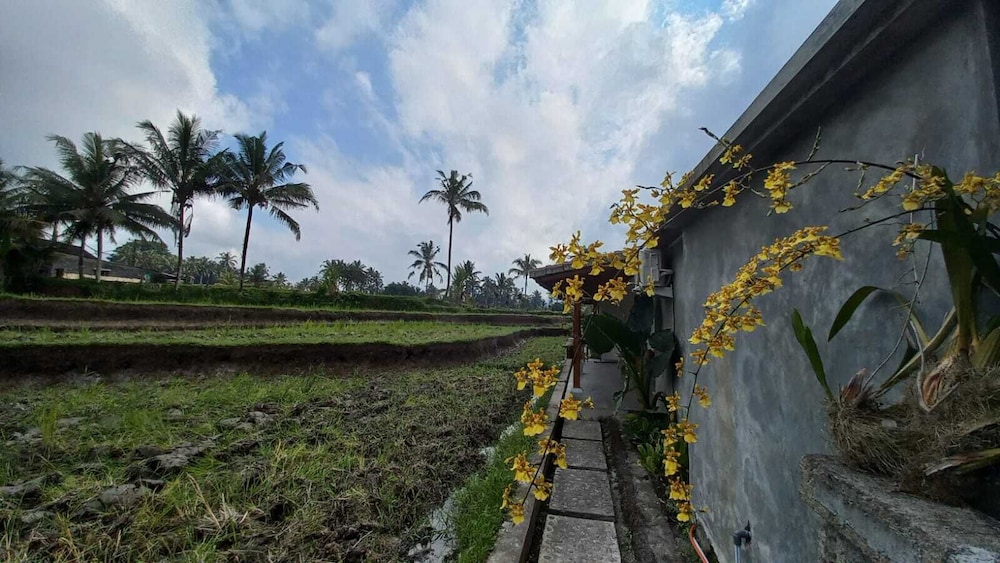 Rumah Kemuning Bali