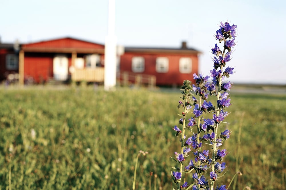 STF Bunge Vandrarhem