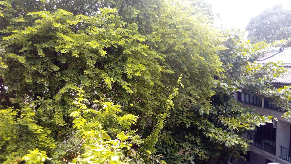 Sarathchandra Tourist Guest House