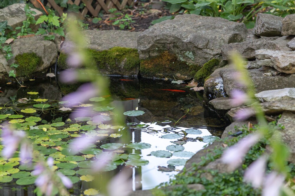 Photo 33