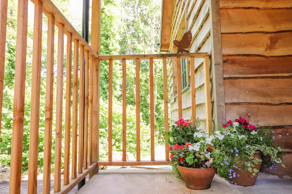 The Owl's Shack