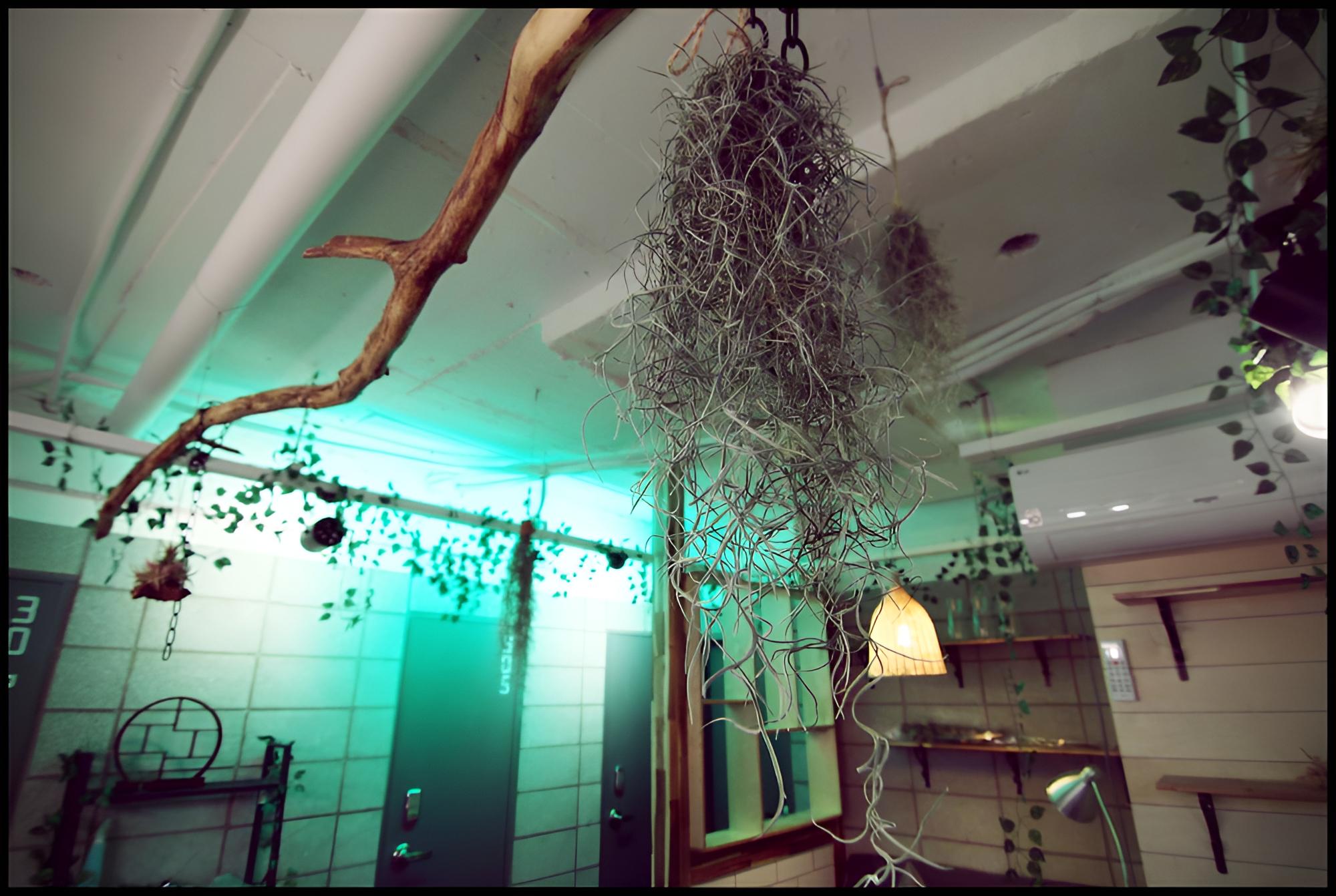 24guesthouse Sinchon