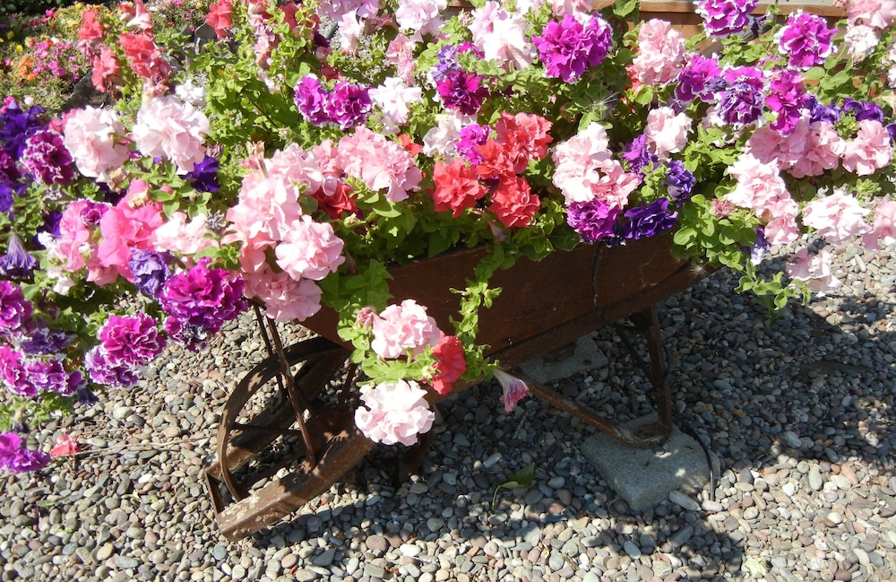 Rocky Point Ranch