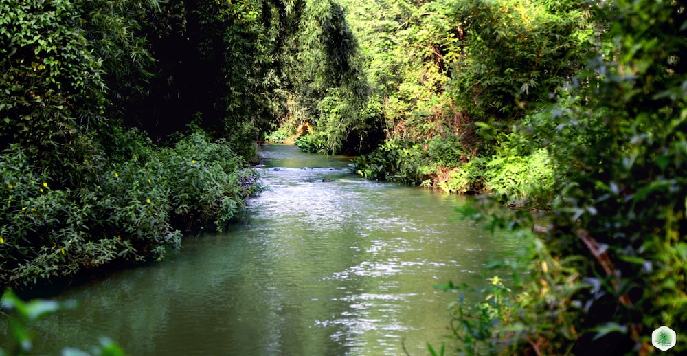 Photo 39