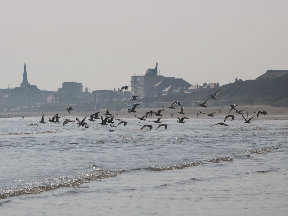 Sunny South Shore