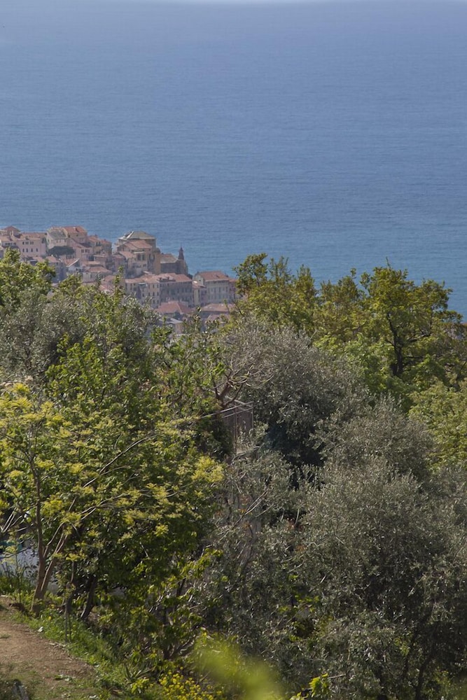 Il Mirto Bed and Breakfast
