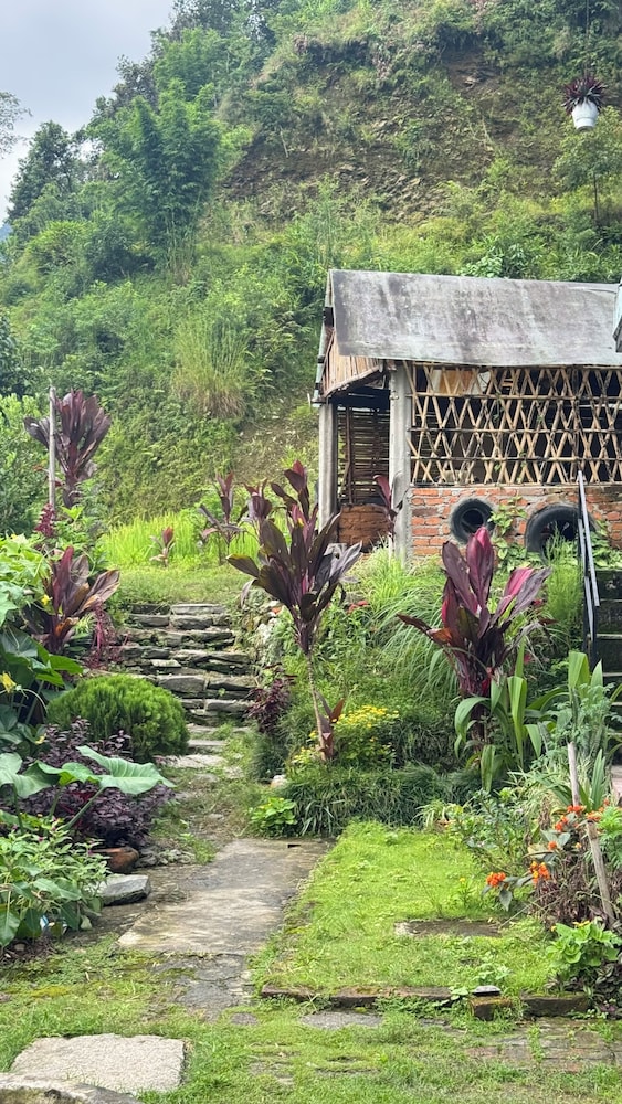 Chipaskot Spot