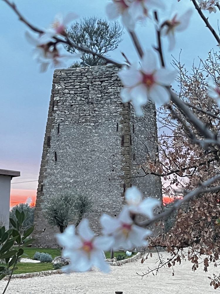 Torre Menerva Viterbo