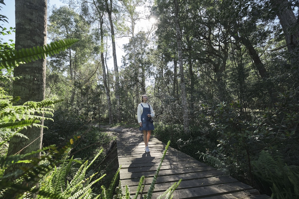 AfriCamps at Oakhurst- Glamping