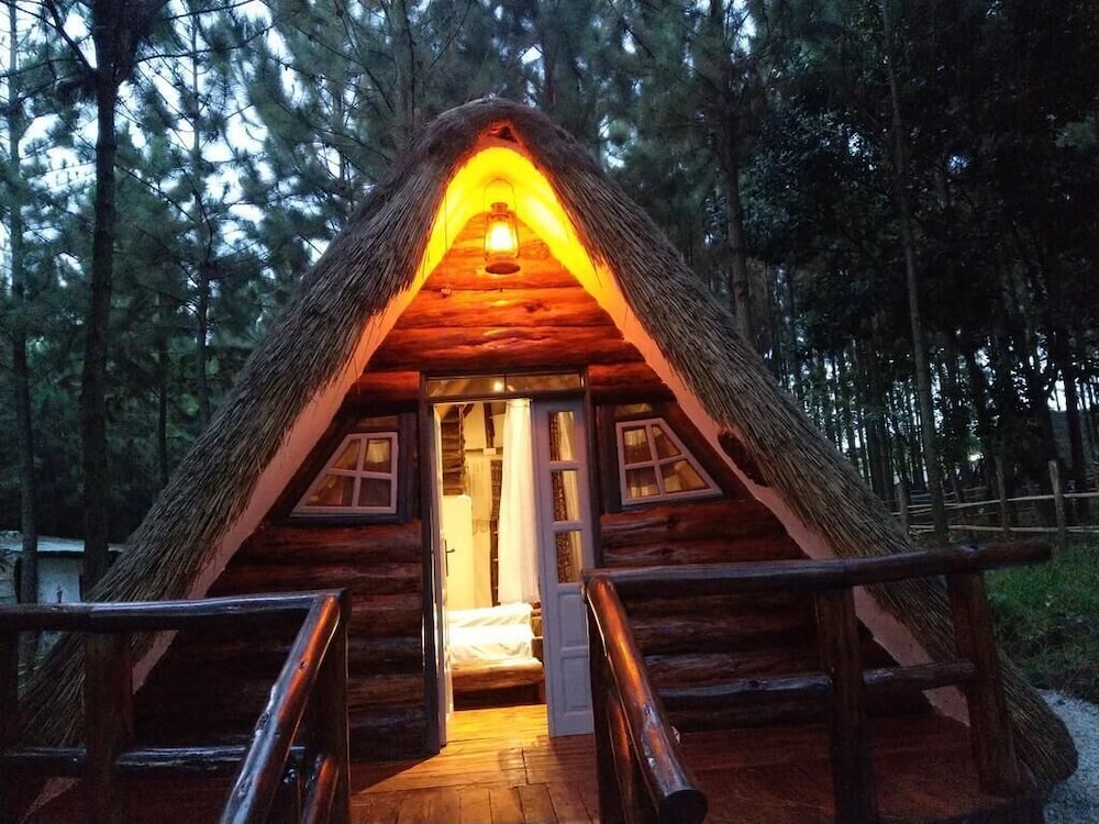 Nyungu Yamawe Forest Park view 5
