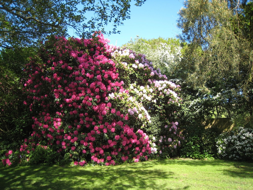Photo 45